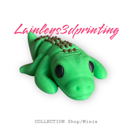 Crocodile Alligator