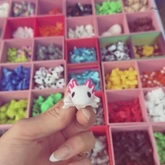 Sensory Surprise Mystery Box – Small Combo Edition 🎁✨